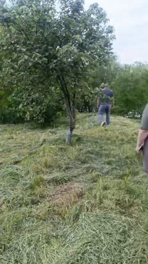 Ст. Медведовская х. Большевик 15 сот 2200000 т.р