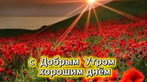 С добрым утром и хорошим днём: музыкальная открытка и пожелания | Домохозяйка