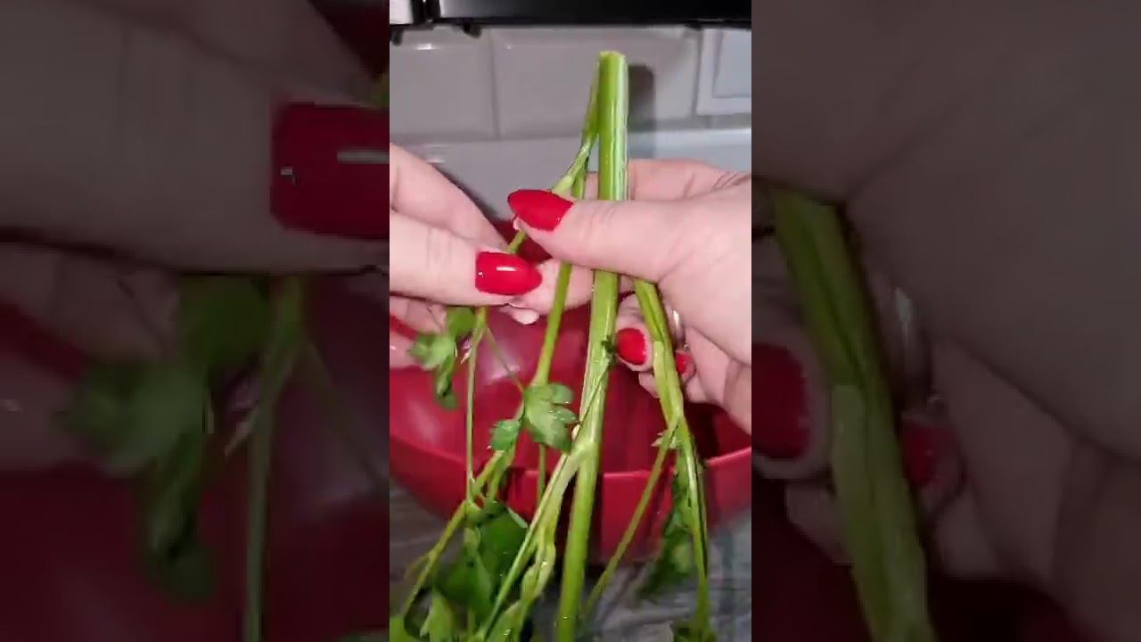 Так хранят петрушку до весны #рецепт #хозяйка#заготовки