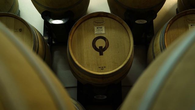 Анонс: «Гедонизм винодела»