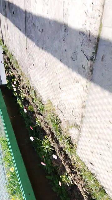 158.mp4