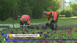 Цветочный триколор появится на Приморском шоссе