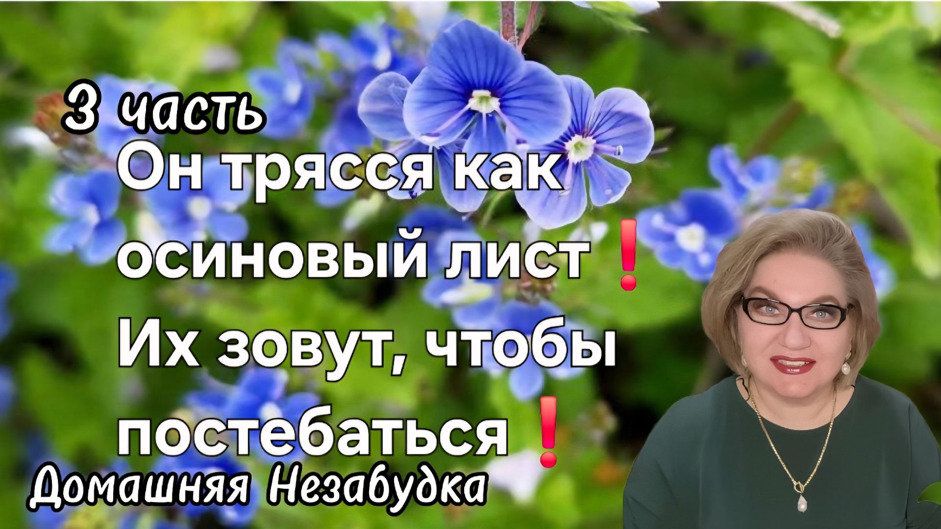 3 часть. Он трясся как осиновый лист❗️Их зовут, чтобы тупо постебаться над  ними