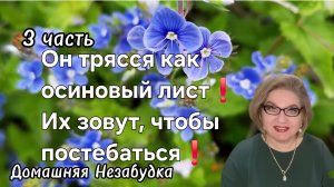 3 часть. Он трясся как осиновый лист❗️Их зовут, чтобы тупо постебаться над  ними