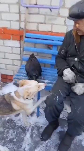 ЗАРАЗА РУГУЧАЯ...