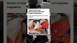 ПРИМОРЬЕ ДЛЯ КОРРУПЦИИ, А НЕ ДЛЯ ЛЮДЕЙ!