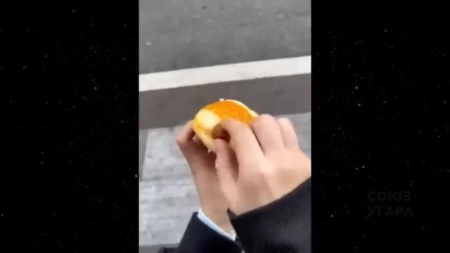 ржачное видео
