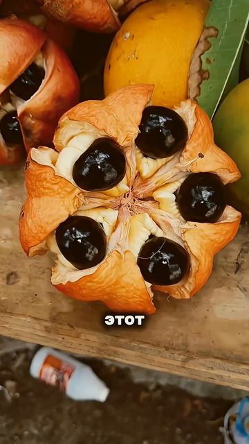 Почему лучше не есть эти фрукты?
