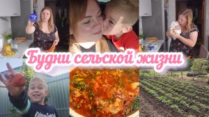 РАСПАКОВКА ИЗ 5КИ 🛒ПЕРВАЯ КЛУБНИКА 🍓 САД-ОГОРОД🌳ЗАКУПКА В ЧИЖИКЕ 🛍