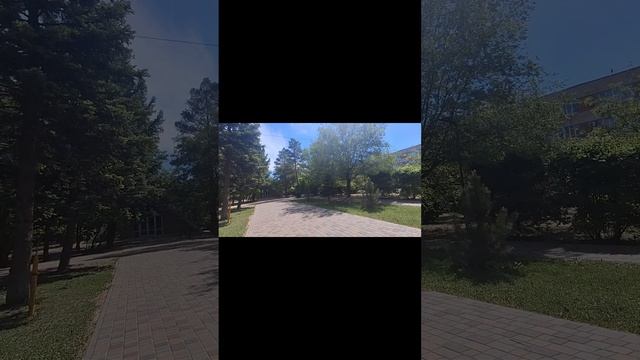прогулка