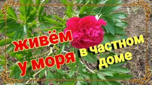 Гроза.  Коттедж и ремонт в нём. Огороды в Александровке и Ейске. Обо всём понемногу...