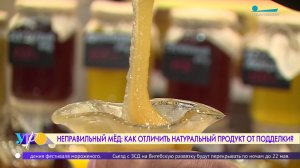 Неправильный мёд. Как отличить натуральный продукт от подделки