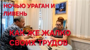 1245 Натворила непогода. Как жалко свой труд.Всю ночь Ураган и Ливень.