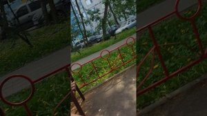 20260520_123900.mp4