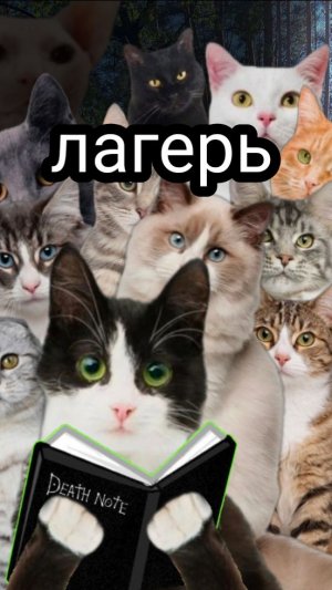 Лагерь 2 серия