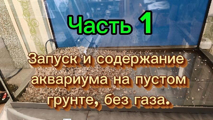 Часть 1. пустой грунт. Прошло  2 месяца