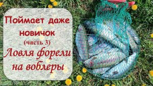 Поймает даже новичок (часть 3). Ловля форели на воблеры