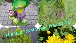 Живём и работаем на Кубани/ Жизнь семьи после переезда из Ивановской области/ Ремонт машины/ Сад/