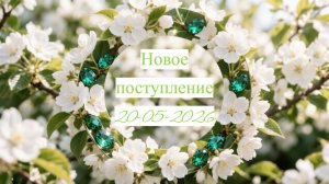 Новое поступление 20-05-2026