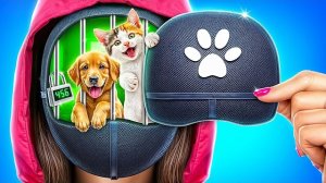 Я спасла животных! Лайфхаки для владельцев животных!