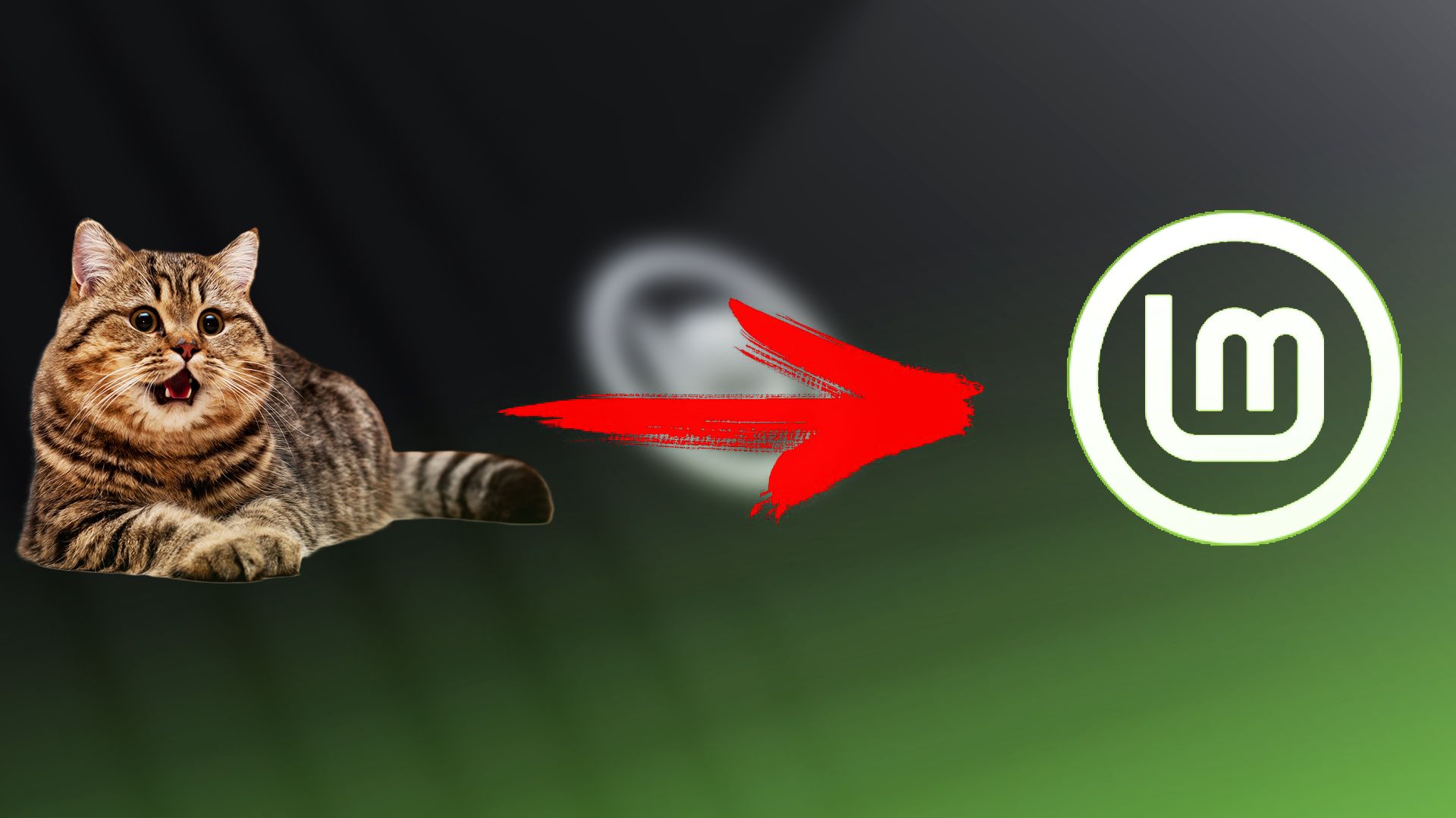 Обзор Linux Mint 22.3 Cinnamon - Лучший и простой смотреть онлайн
