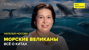 Морские великаны: всё о китах | Наталья Носова Лекция 2026 | Мослекторий