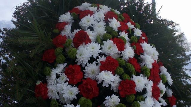 ТРАУРНЫЙ ВЕНОК ИЗ ЖИВЫХ ЦВЕТОВ ВЖ 19