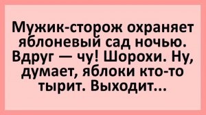 Ночь, мужик-сторож охраняет яблоневый сад... | Анекдоты смешные | Юмор