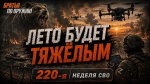 220-я неделя СВО: зелёнка, дроны и борьба за логистику