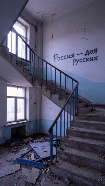 Печаль и нищета: Безумие российской реальности #гадюшник #нищета #россия