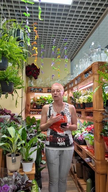 Я ничего не знаю. Кринум - растение загадка.