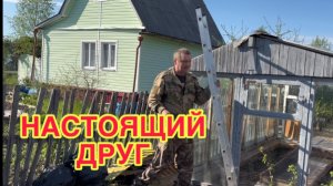 18/5 26 ПОБРИЛА ФАЦЕЛИЮ. ПЕРВЫЕ ТЮЛЬПАНЧИКИ РАСЦВЕЛИ. ПРИЕХАЛ  ПАЛОЧКА - ВЫРУЧАЛОЧКА.