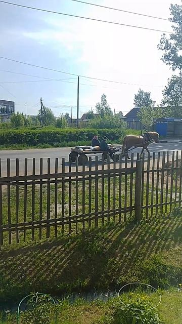 забытый вид транспорта