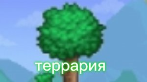 террария первая часть прохождения