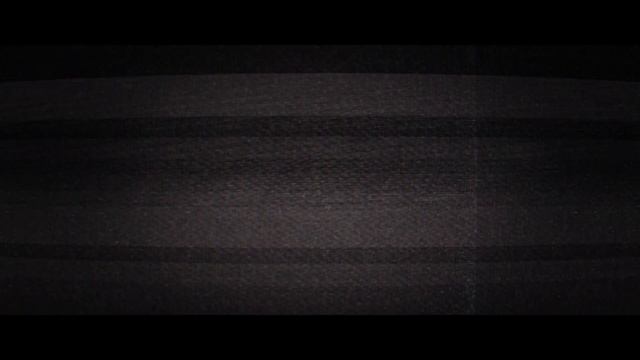Wuthering Waves Story Cinematics   Humanity's  Heart