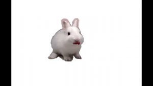 Хз, блин ушастые черешни Дарины