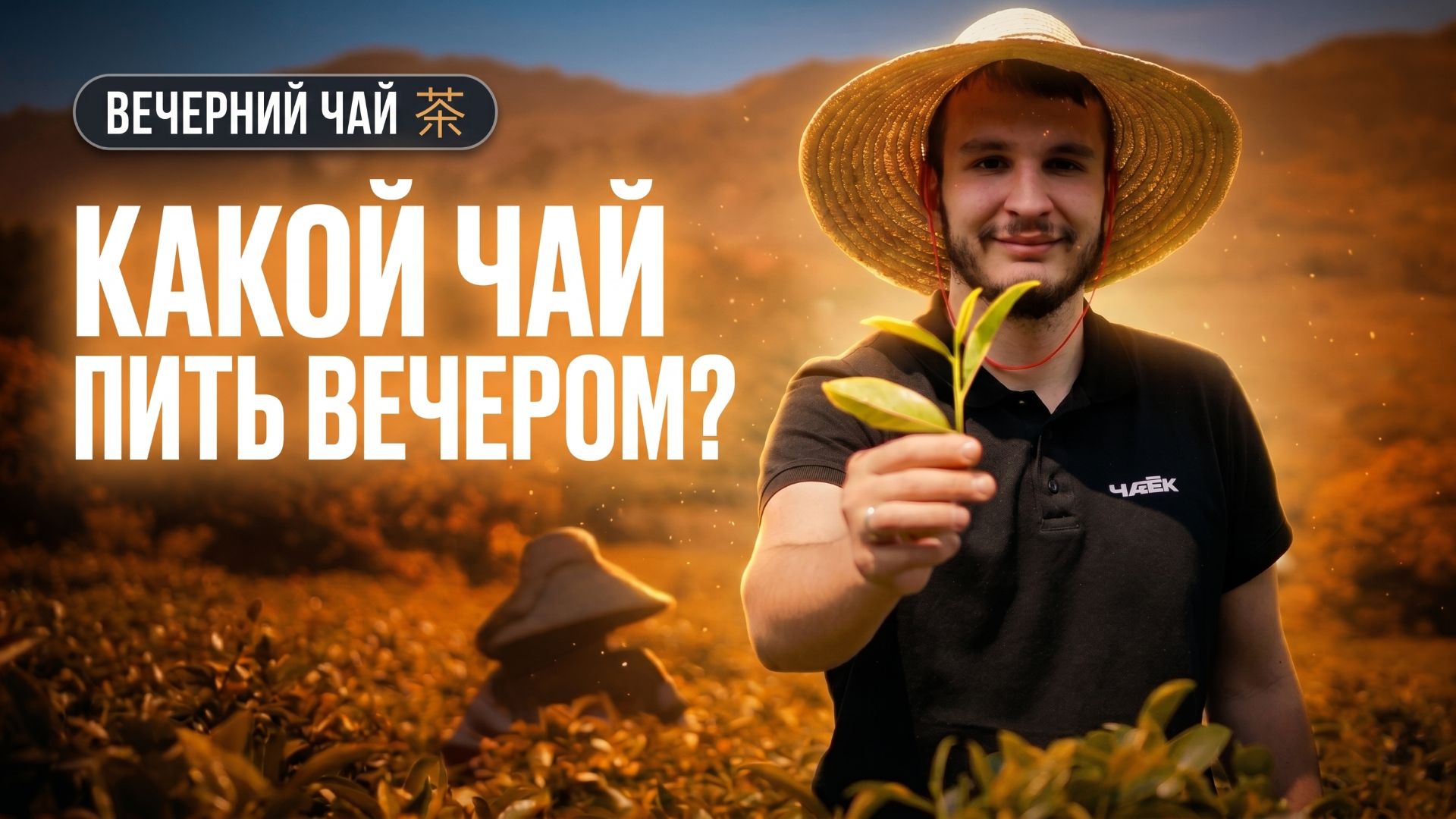 Какой чай пить вечером? Топ сортов для расслабления смотреть онлайн