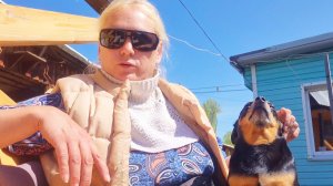 ДЕРЕВНЯ,ЧЁ КУПИЛА?,ОПЯТЬ ПРОПАЛ,ИЩУ МЕСТО,ЗАМОЧИЛА СЕМЕНА