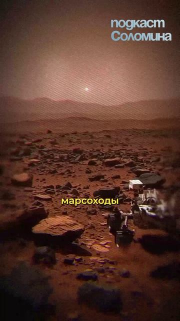 Мы НЕ СОЗДАНЫ ДЛЯ КОСМОСА! Ави Лёб | Смотри полный выпуск на канале Глеб Соломин #наука