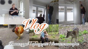 VLOG🇩🇪: НАКОНЕЦ-ТО ВЕШАЕМ ШТОРЫ!ВОСКРЕСНАЯ ПРОГУЛКА 🐔🙂КАК СДЕЛАТЬ ЛОВУШКУ ДЛЯ МОШЕК?!