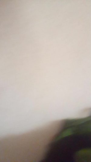 Спасибо за ваш друд