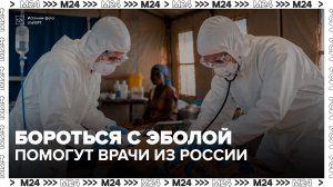 Роспотребнадзор направит специалистов в Африку для борьбы с Эболой - Москва 24