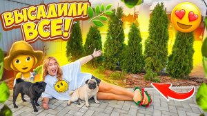 ВЫСАДИЛИ ВСЕ👉 НА УЧАСТКЕ🍀ШОППИНГ🌸👉 ОБУСТРОИЛИ ПОЛИСАДНИК за 24 Часа!