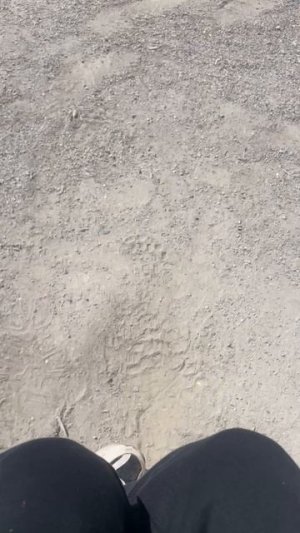 Первое видео на площадке
