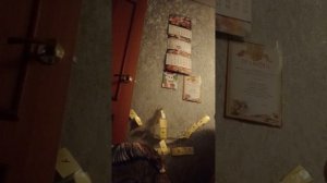 весь алфавит и там лёгкие задания если что ролик х**** полная Ну посмотрите и Подписывайтесь и лайк