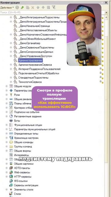 Функциональные и интерфейсные подсистемы в БСП. смотреть онлайн