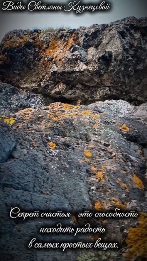 Секрет счастья..