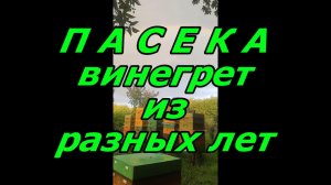 Пасека, винегрет из разных лет...