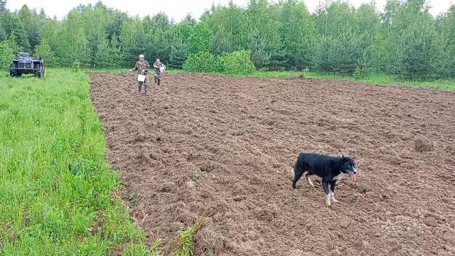 VID20240607184306