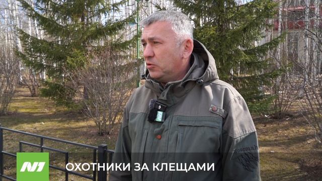 В Нижневартовске началась обработка от клещей